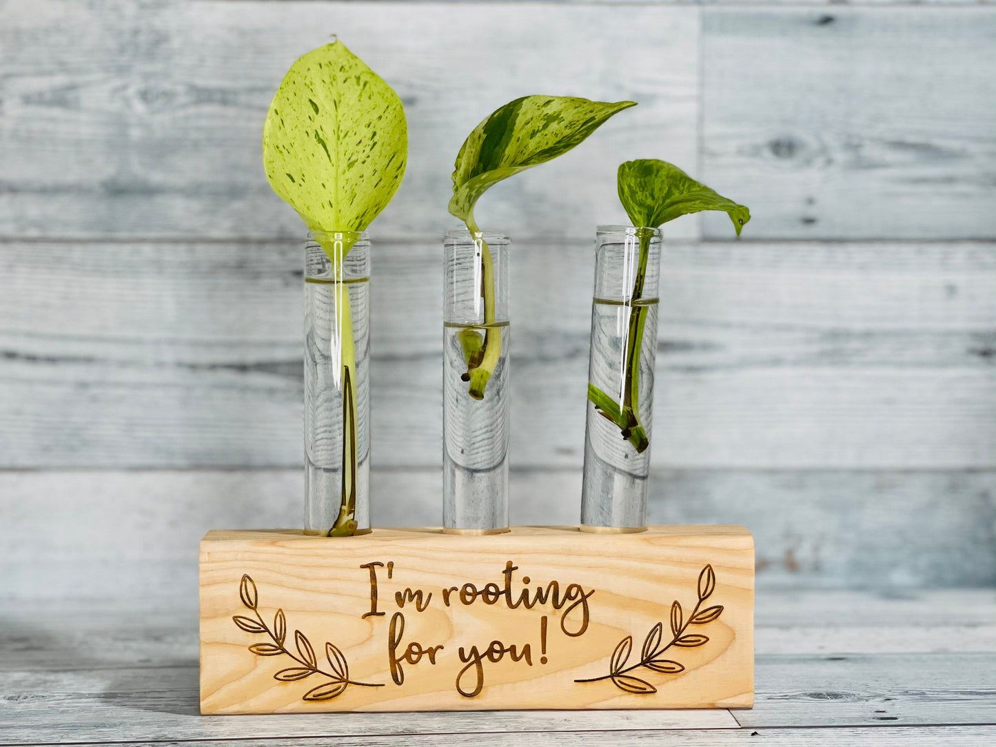 Propagation Station - I'm Rooting for You - Plant Vase - Propagation Stand - Bud Vase - Stem Vase